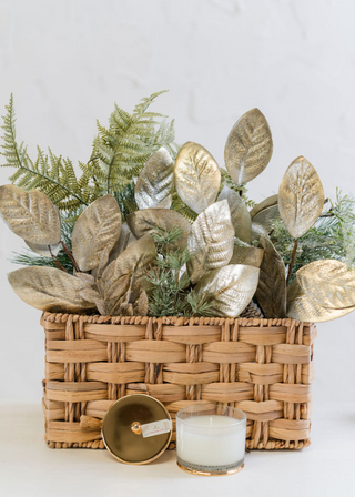 Frasier Fir Gilded Poured Candle