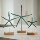 Starfish Statue