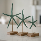 Starfish Statue