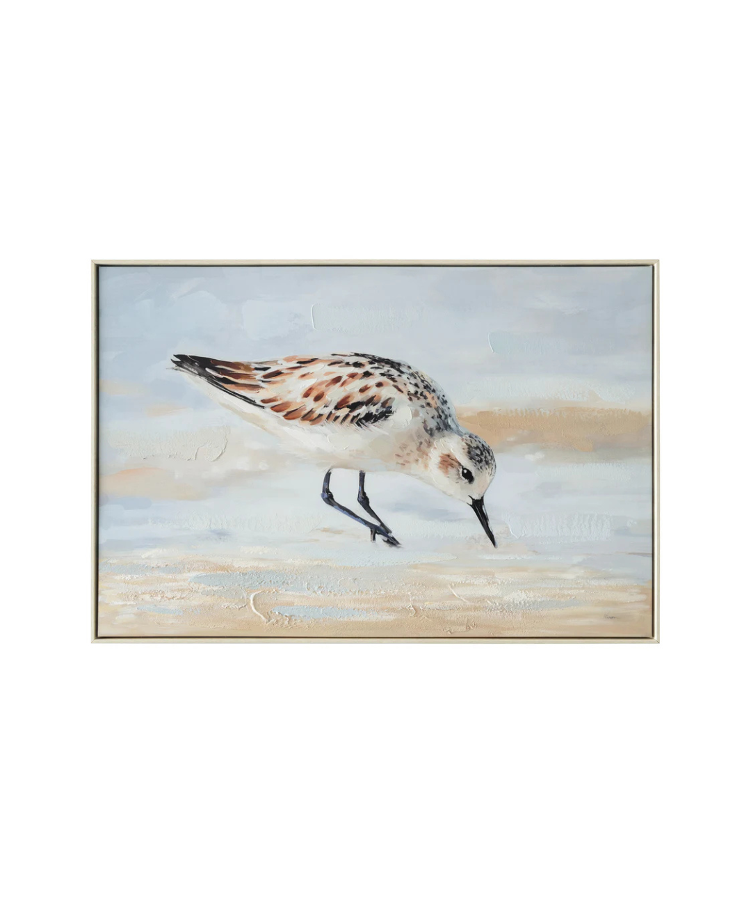Coastal Sandpiper