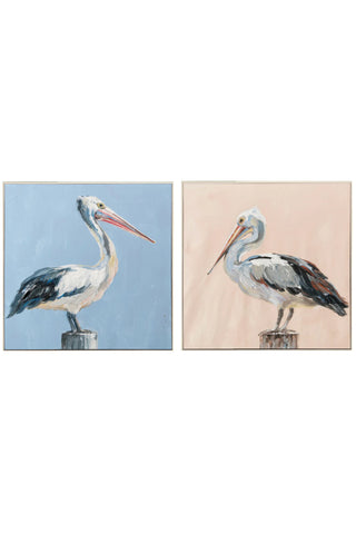 Playful Pelicans
