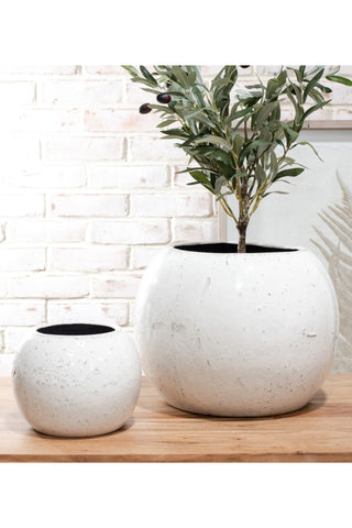 Modern Ceramic Planter