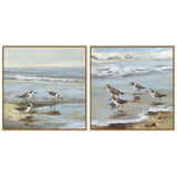 Sandpiper Reflections