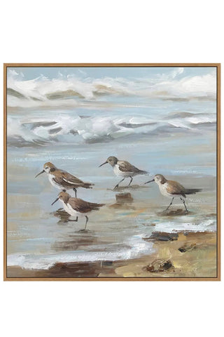 Sandpiper Reflections