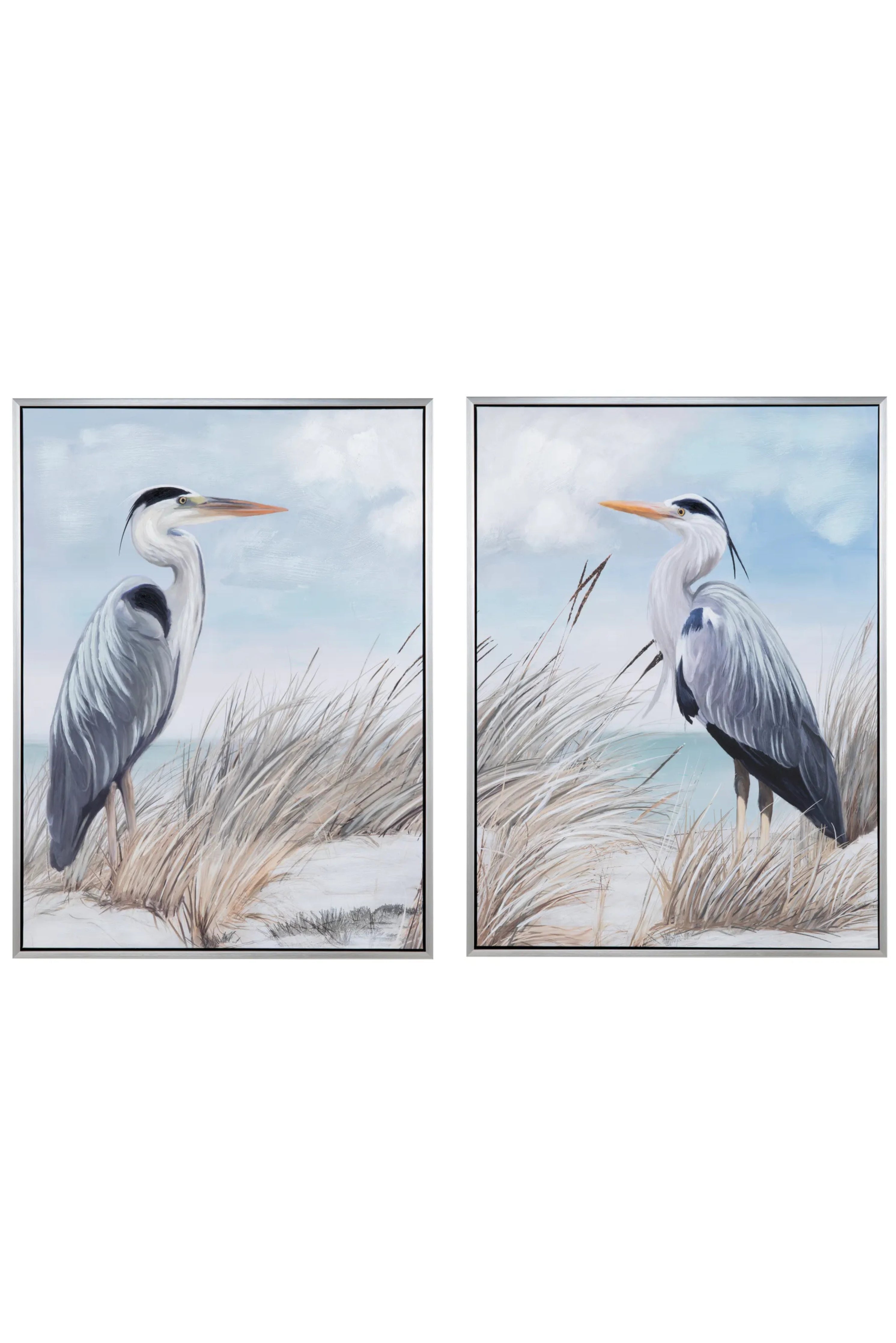 Twin Beaks