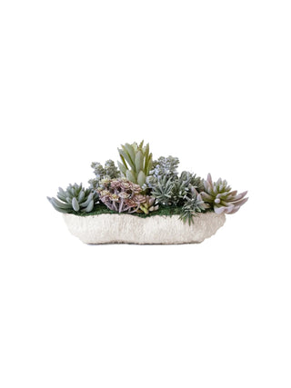 Coral Planter w/ Succulents