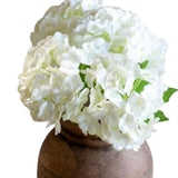 White Mini Hydrangea