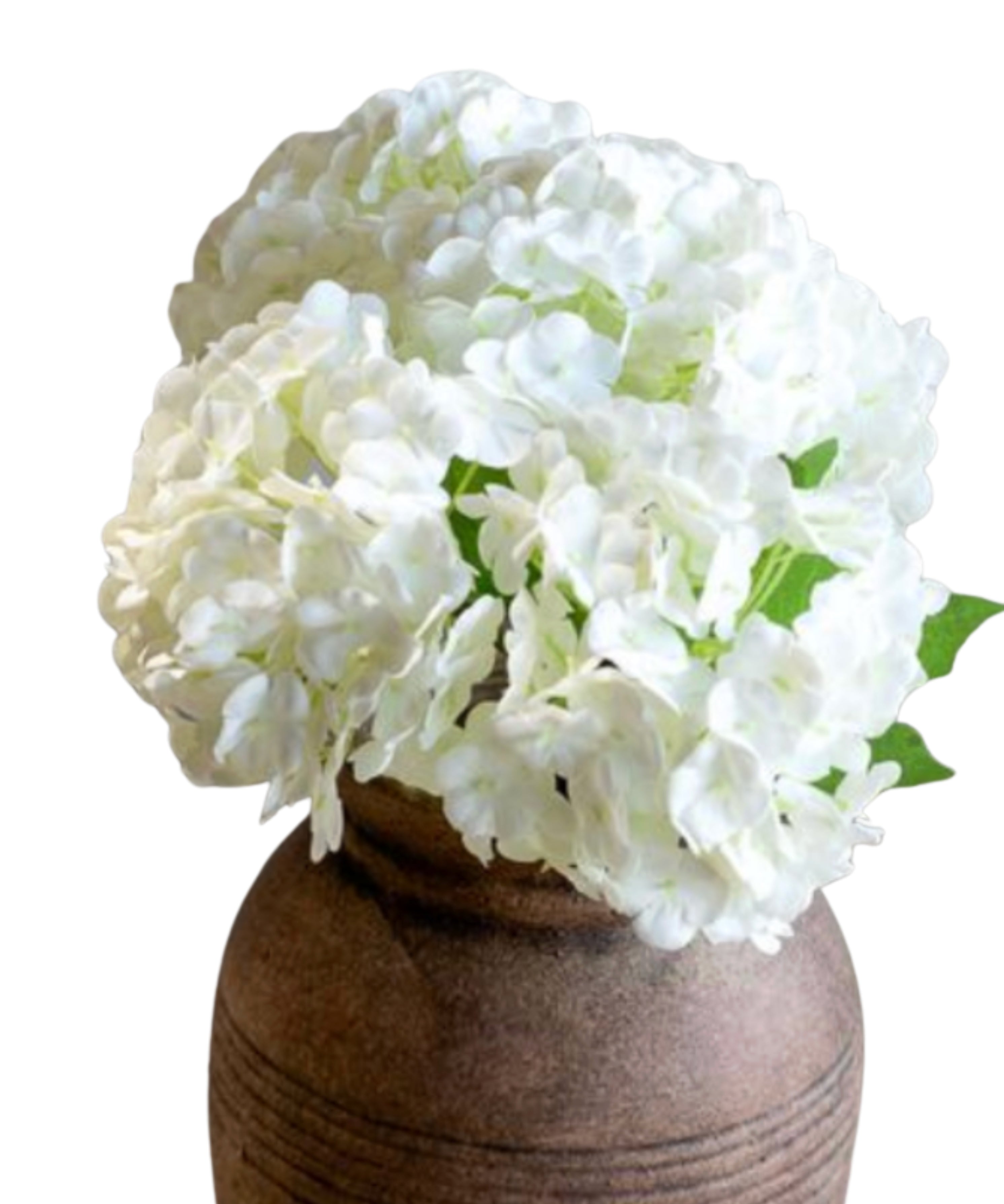 White Mini Hydrangea