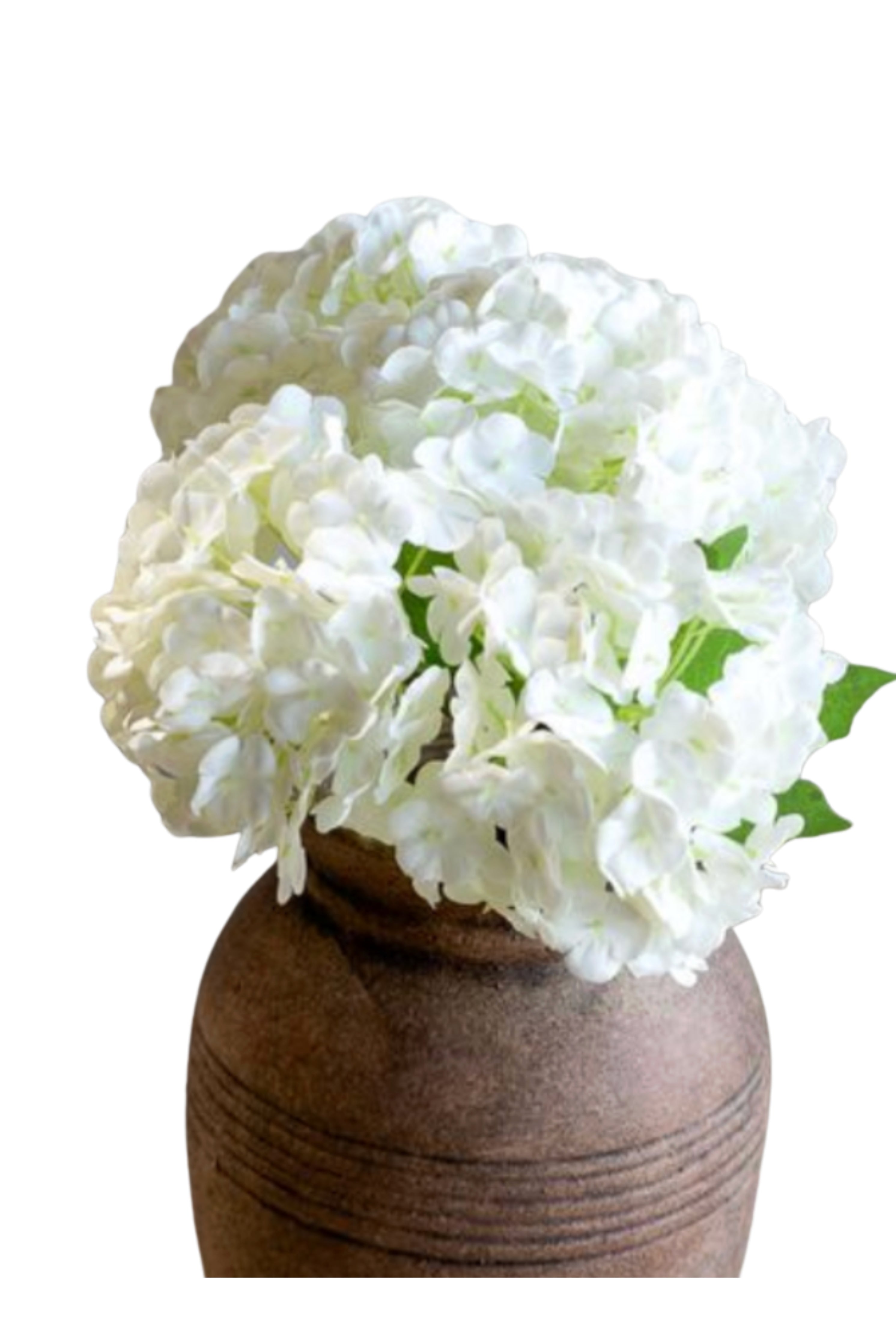 White Mini Hydrangea