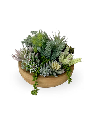 Wood Bowl Succulent Arrangement