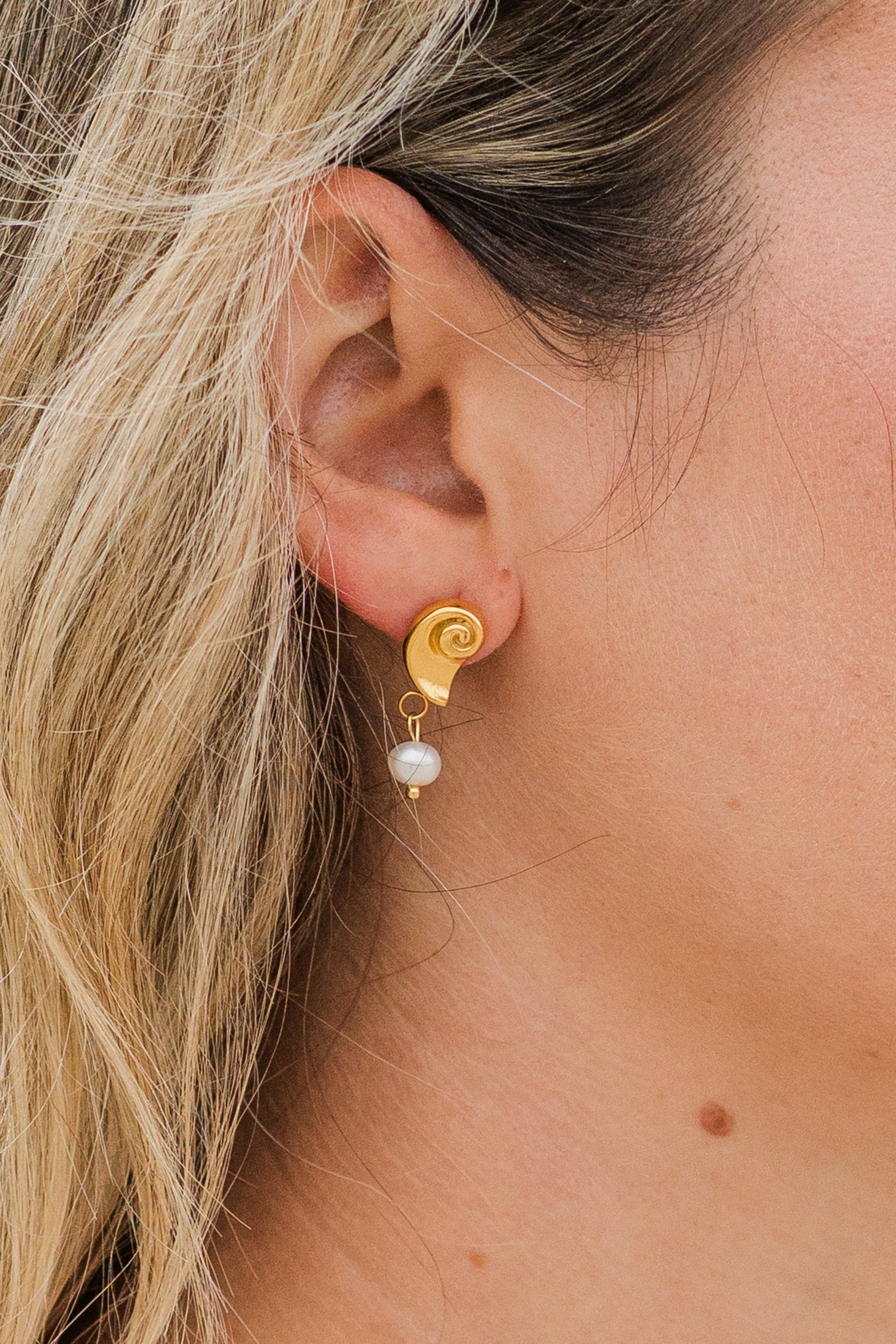 My Sister's Cottage | Waterproof | Nautilus Drop Earrings (detail view 3)