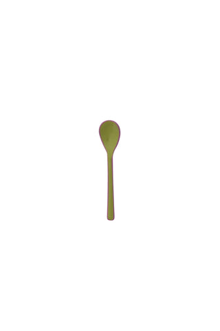 Enameled Stainless Steel Salt Spoon