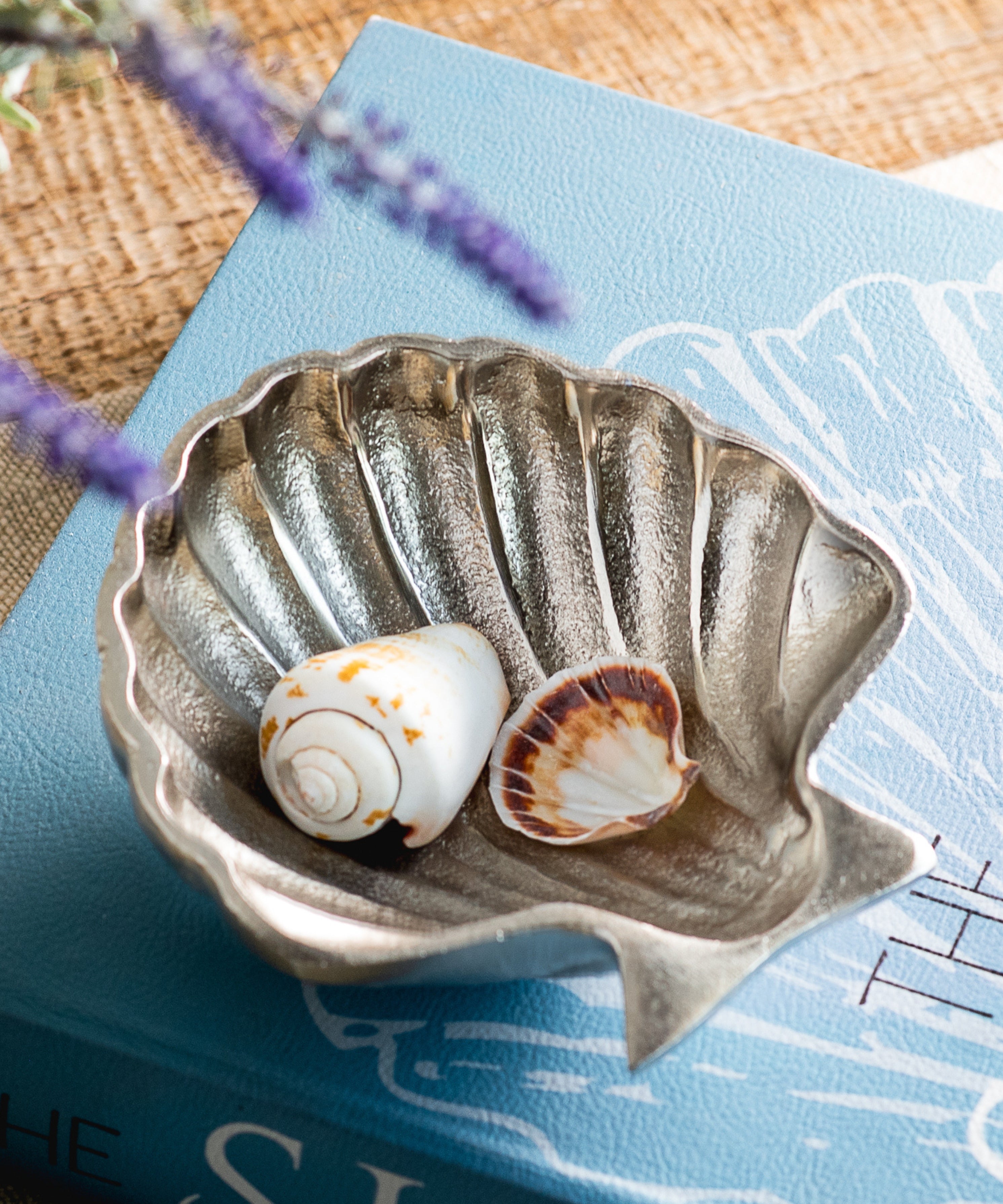 Seashell Bowl