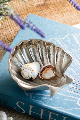 Seashell Bowl