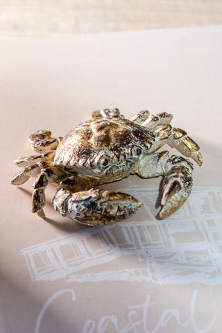 Gold Crab