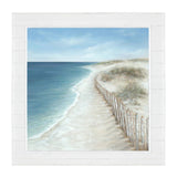 Coastal Fenceline