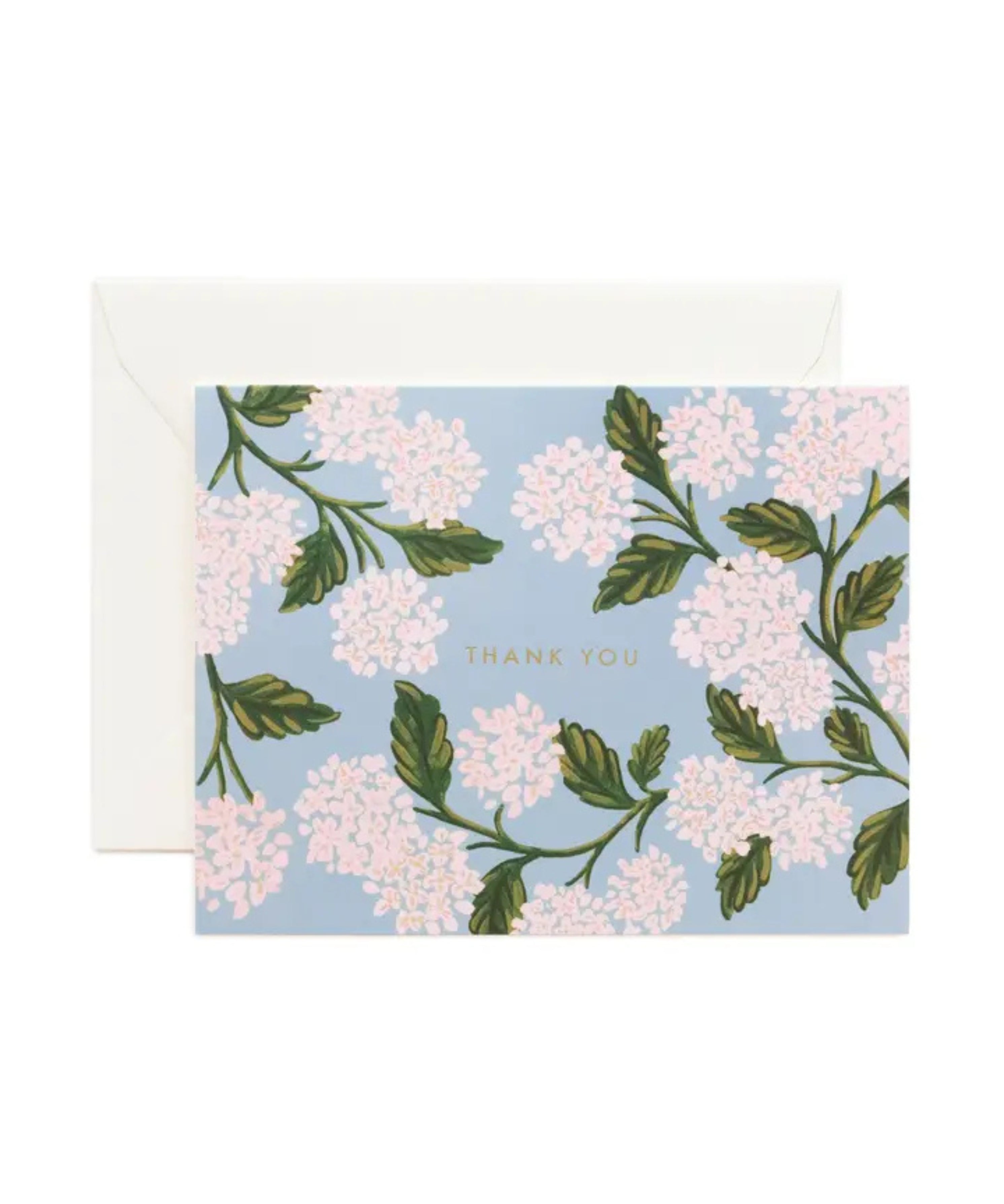 Hydrangea Thank You Card Boxed Set