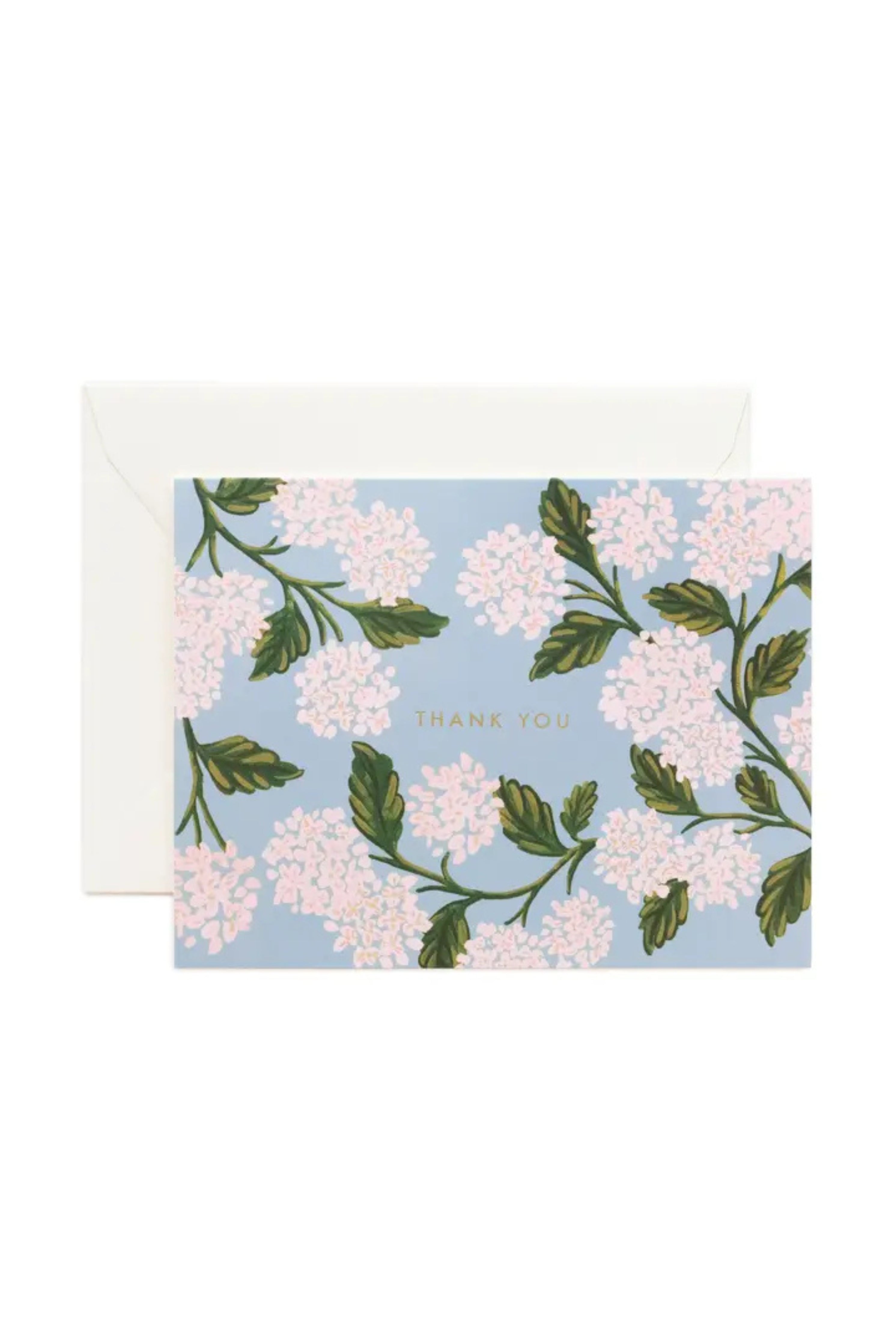 Hydrangea Thank You Card Boxed Set