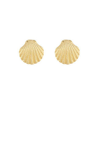 Metal Sea Shell Earrings