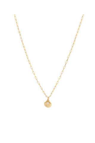 Pearl In Shell Necklace