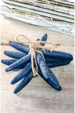 3 Blue Starfish
