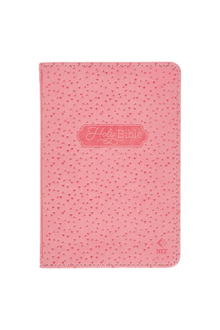 Infant New Testament