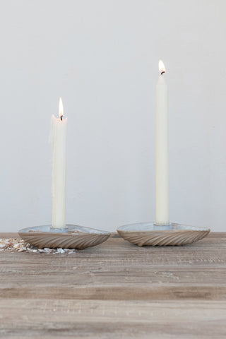 Oyster Shell Taper Holder