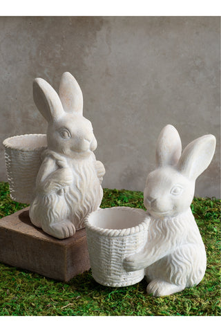 Basket Bunnies