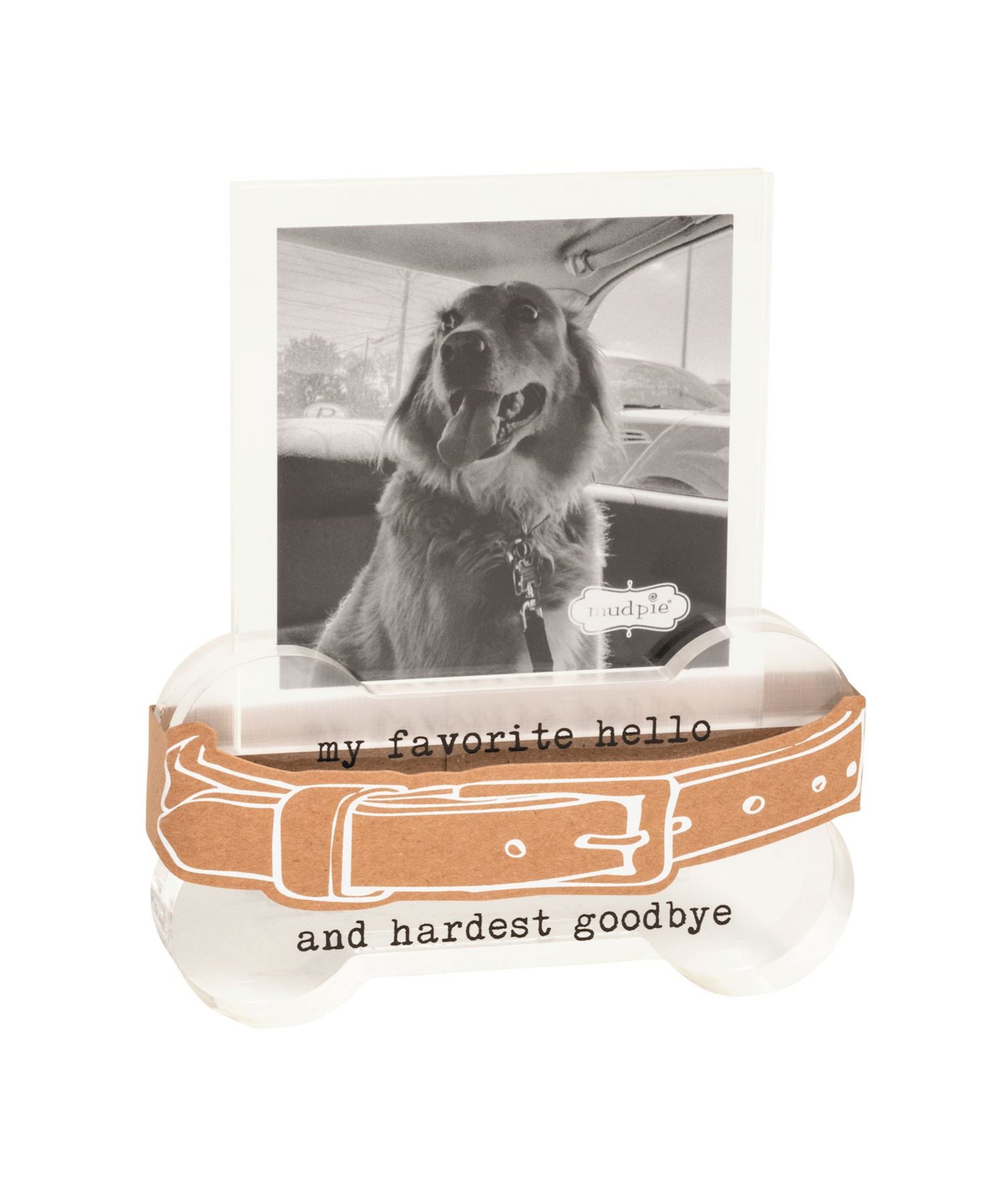 Collar Memorial Frame