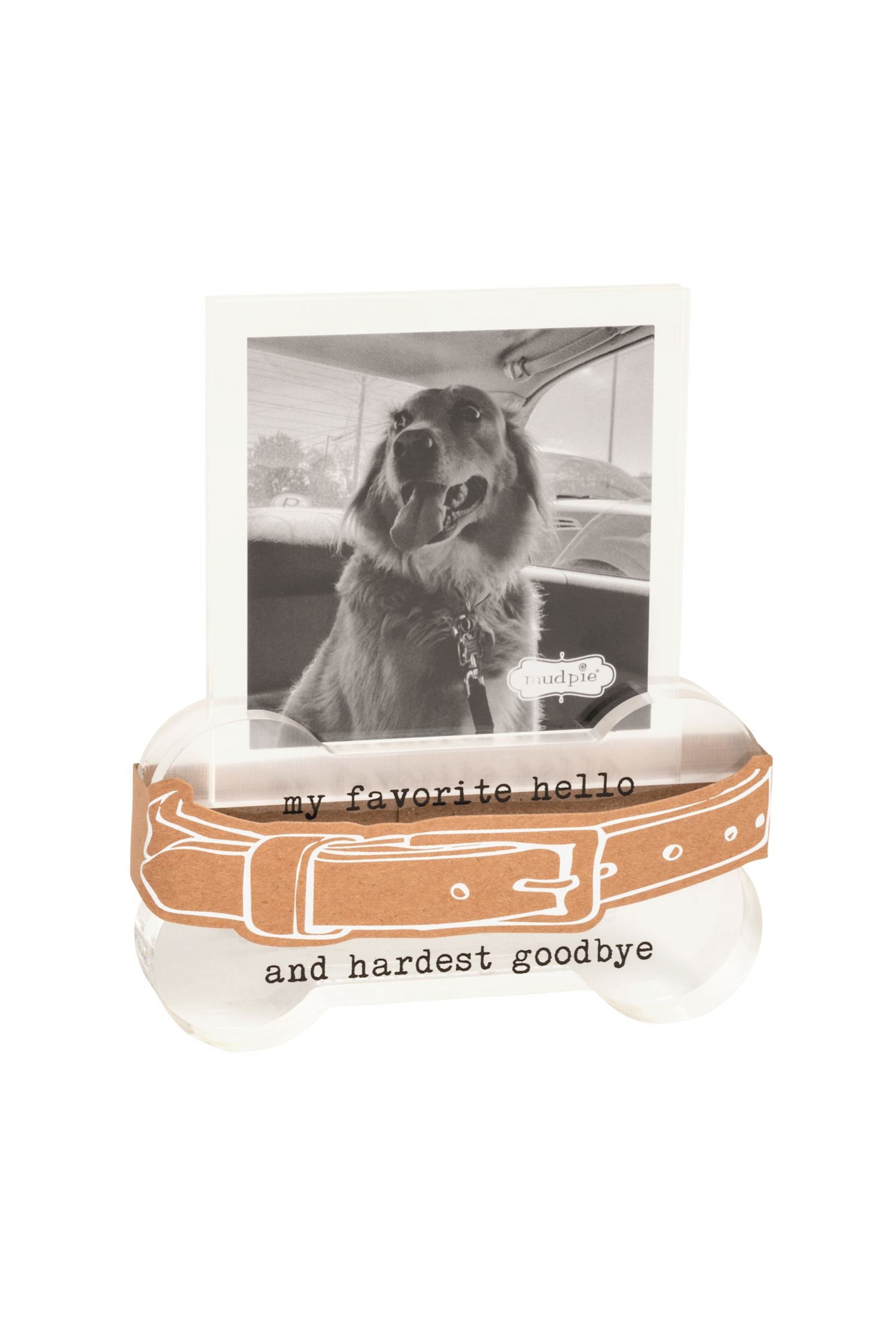 Collar Memorial Frame