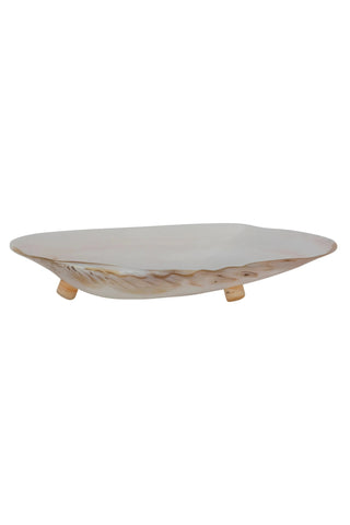 Natural Shell Footed Dish