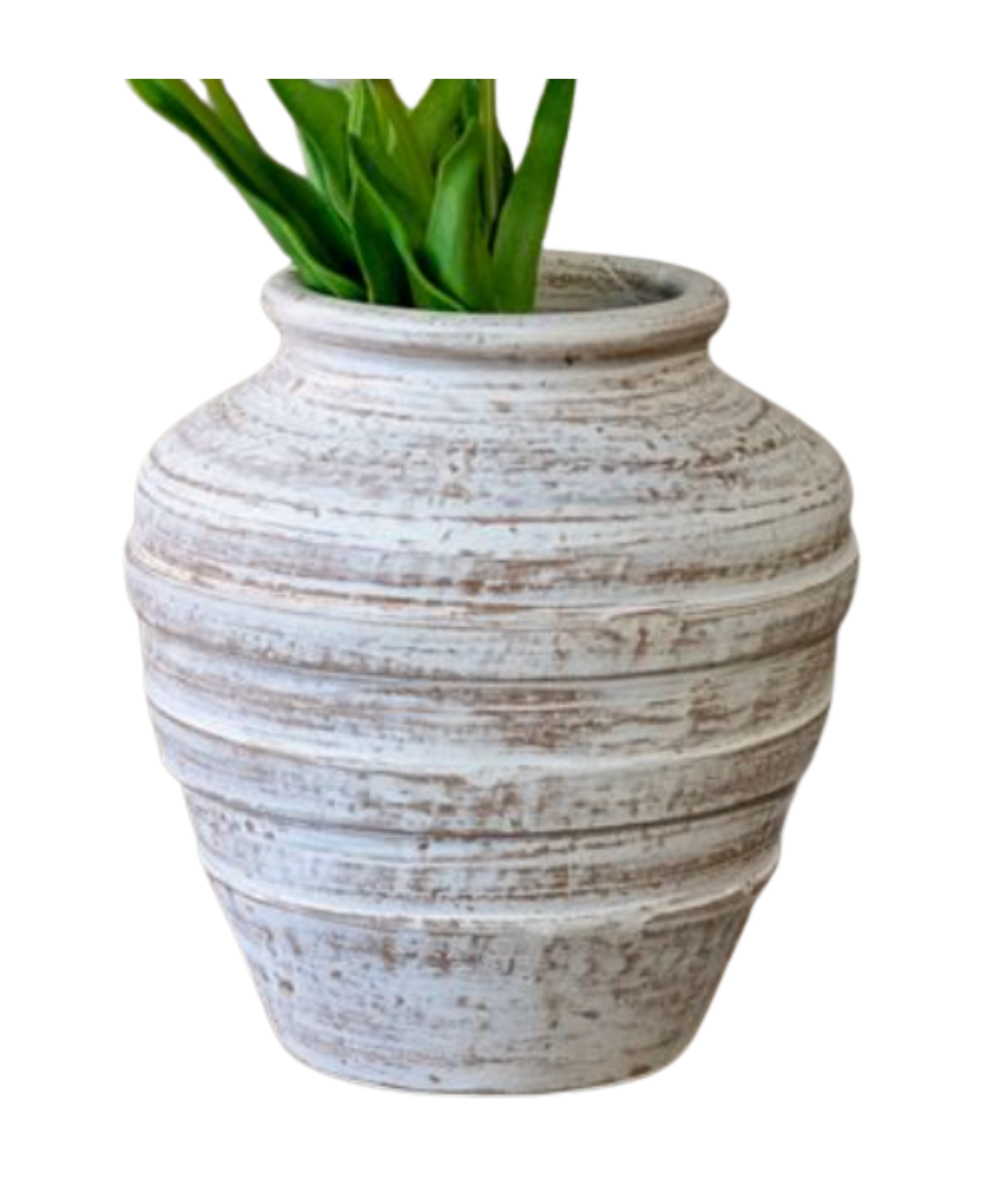 White Wash Terra Cotta Vase