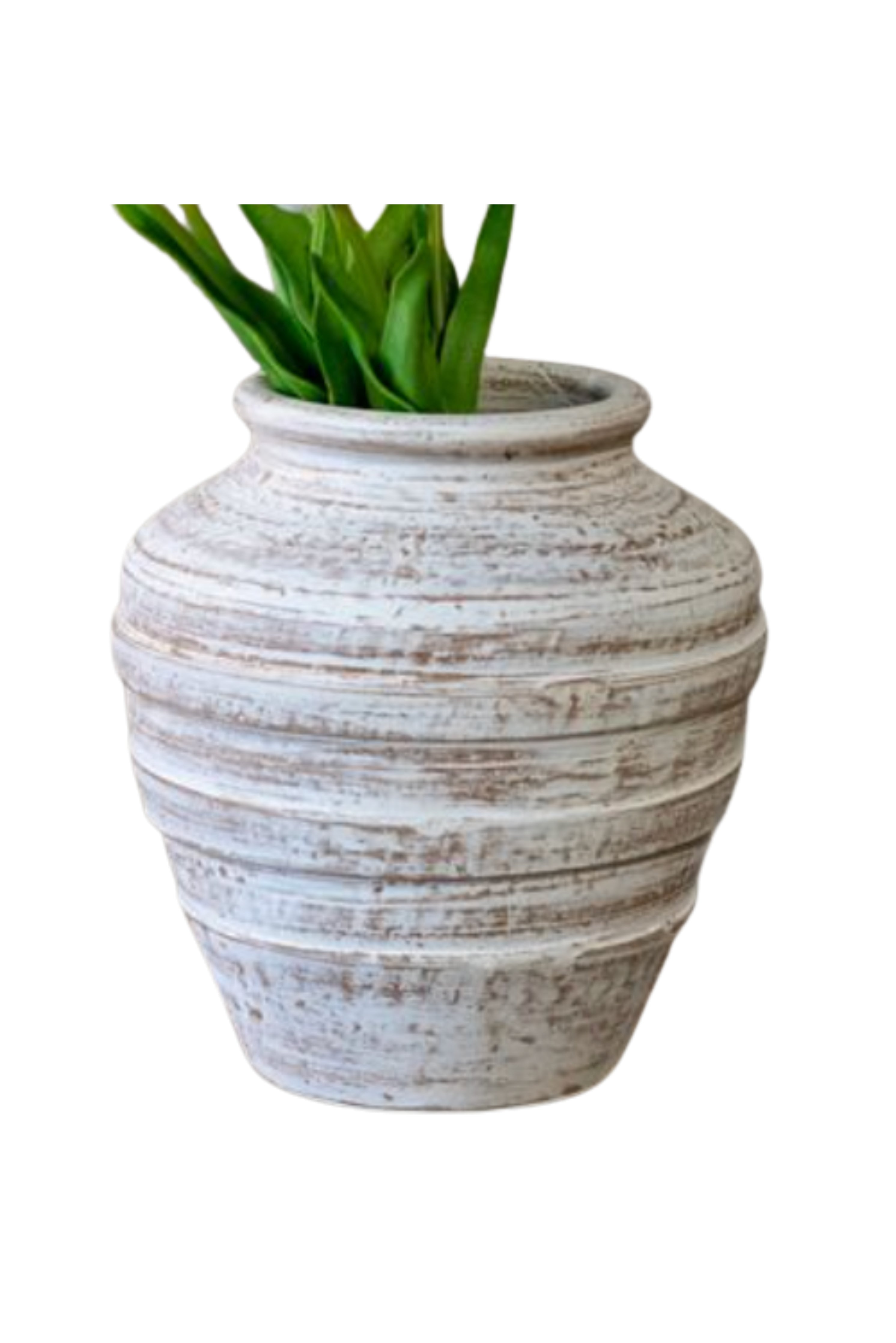 White Wash Terra Cotta Vase