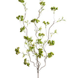 Green Sedum Berry Branch