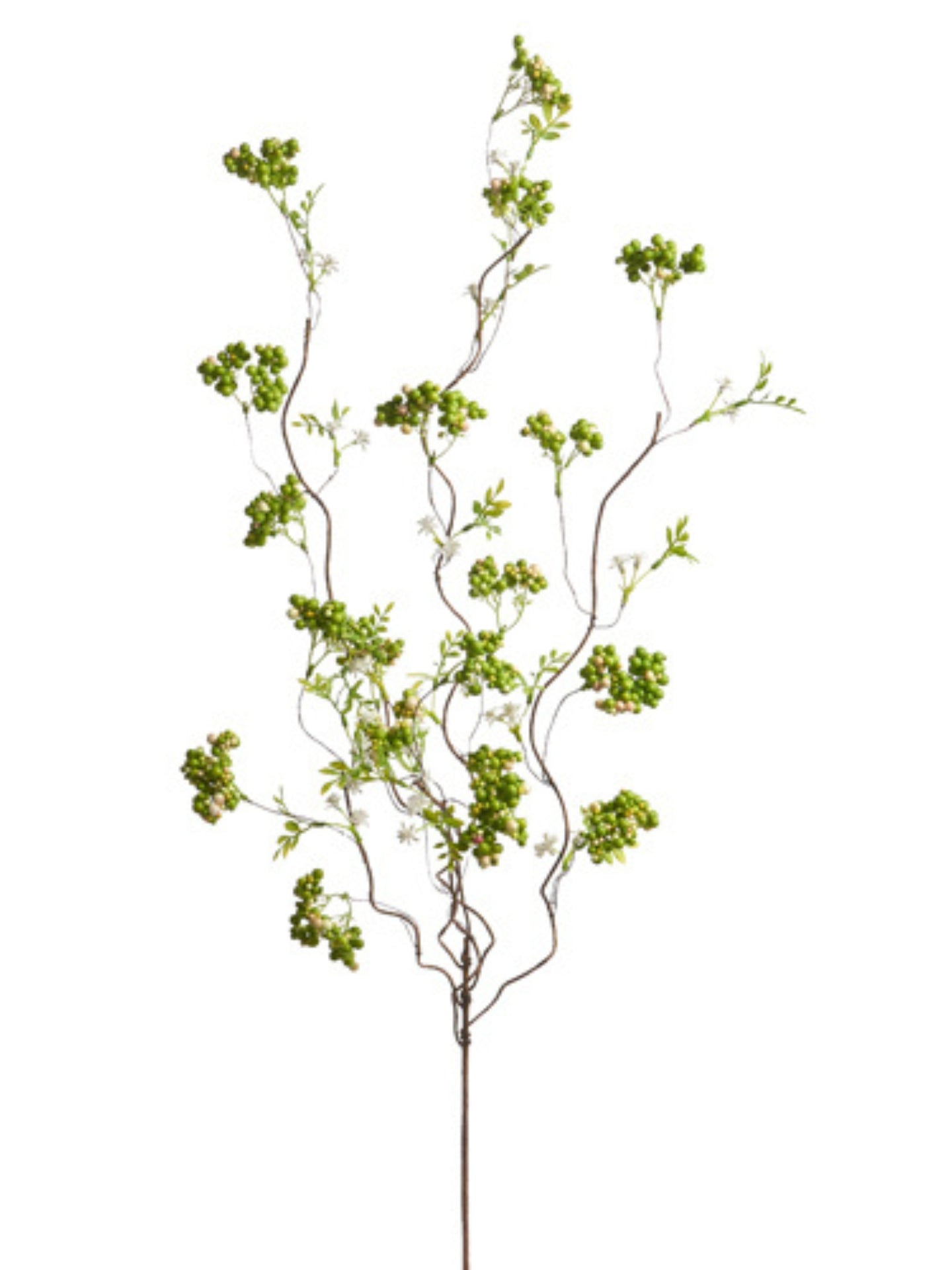 Green Sedum Berry Branch