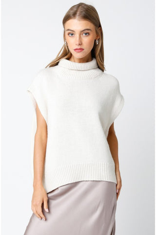 Turtleneck Sleeveless Sweater Top