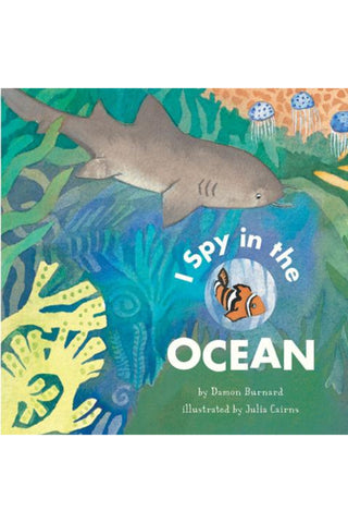 I Spy in the Ocean Book