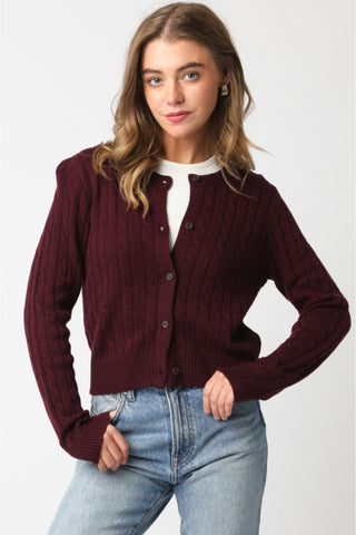 Cable Knit Button Down Cardigan