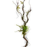 Twisted Vine & Fern Branch