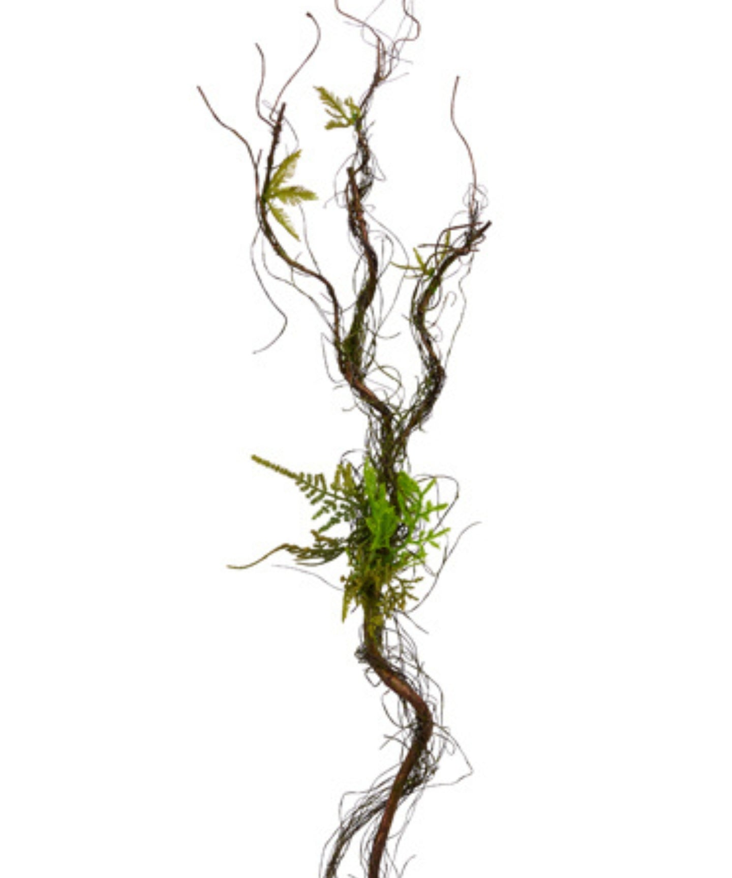 Twisted Vine & Fern Branch