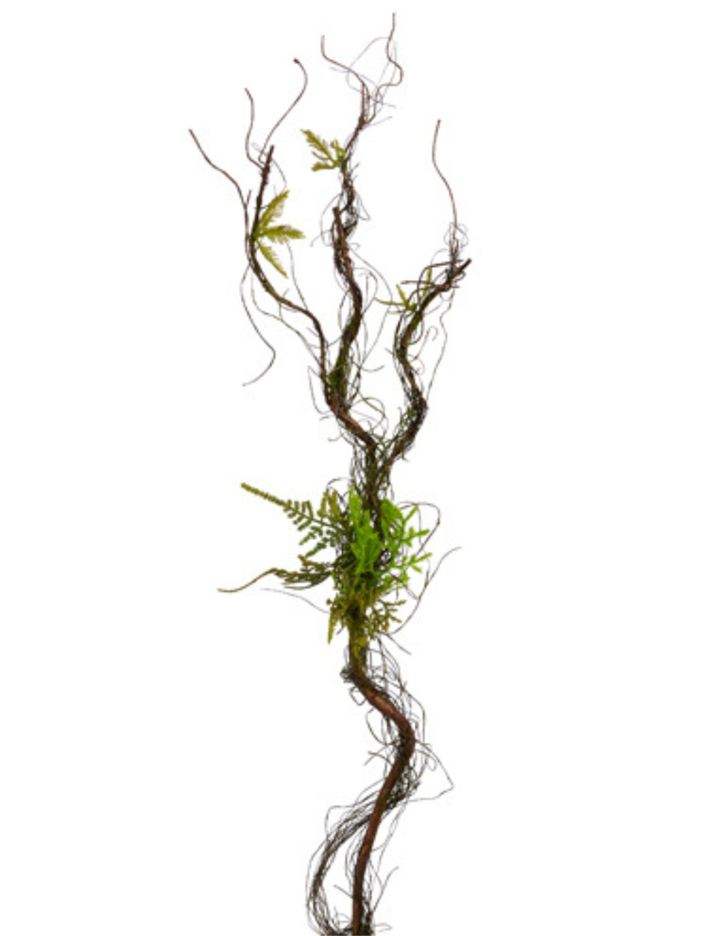 Twisted Vine & Fern Branch