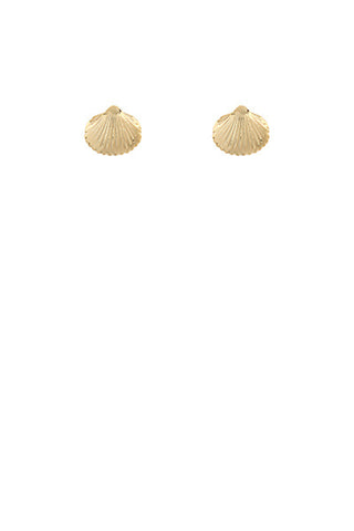 Shell Stud Earrings