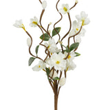 White Blossom Branch