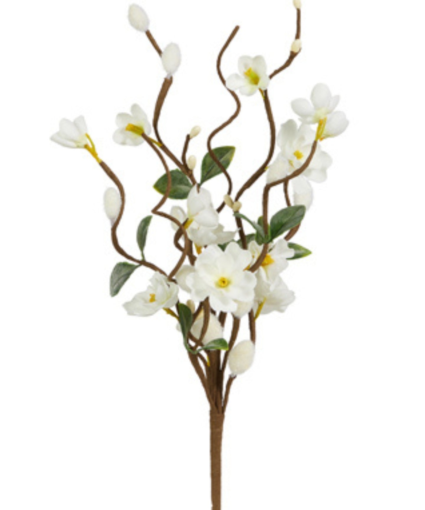 White Blossom Branch