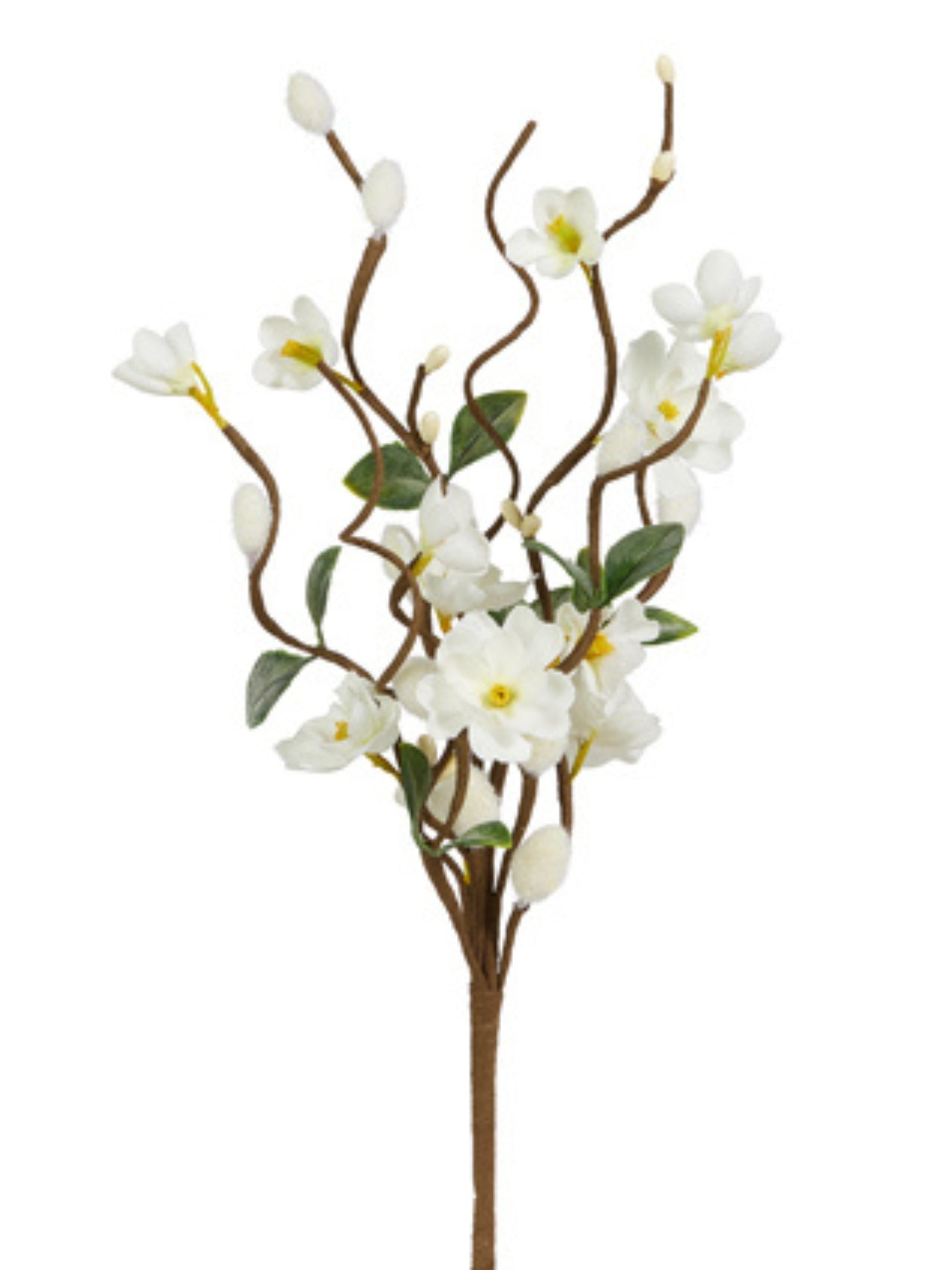 White Blossom Branch