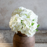 White Mini Hydrangea