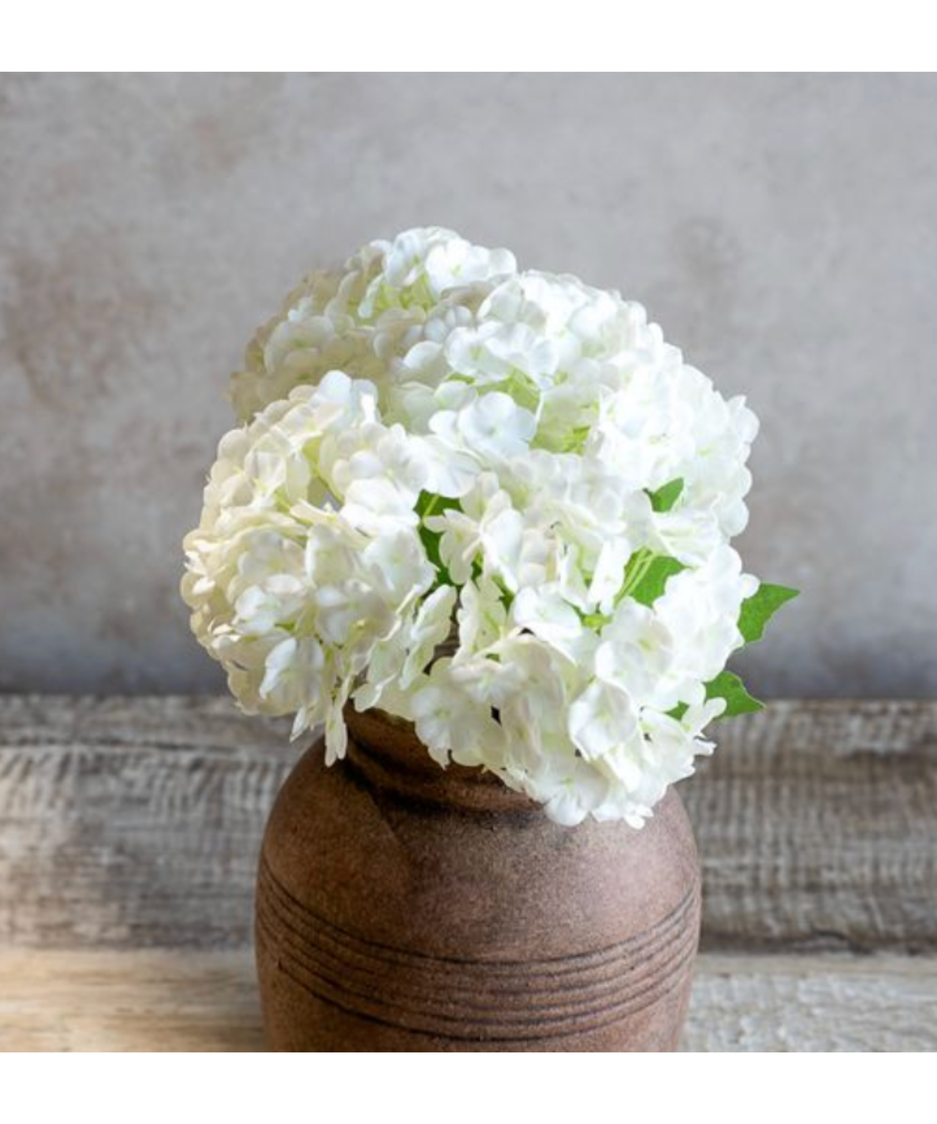 White Mini Hydrangea