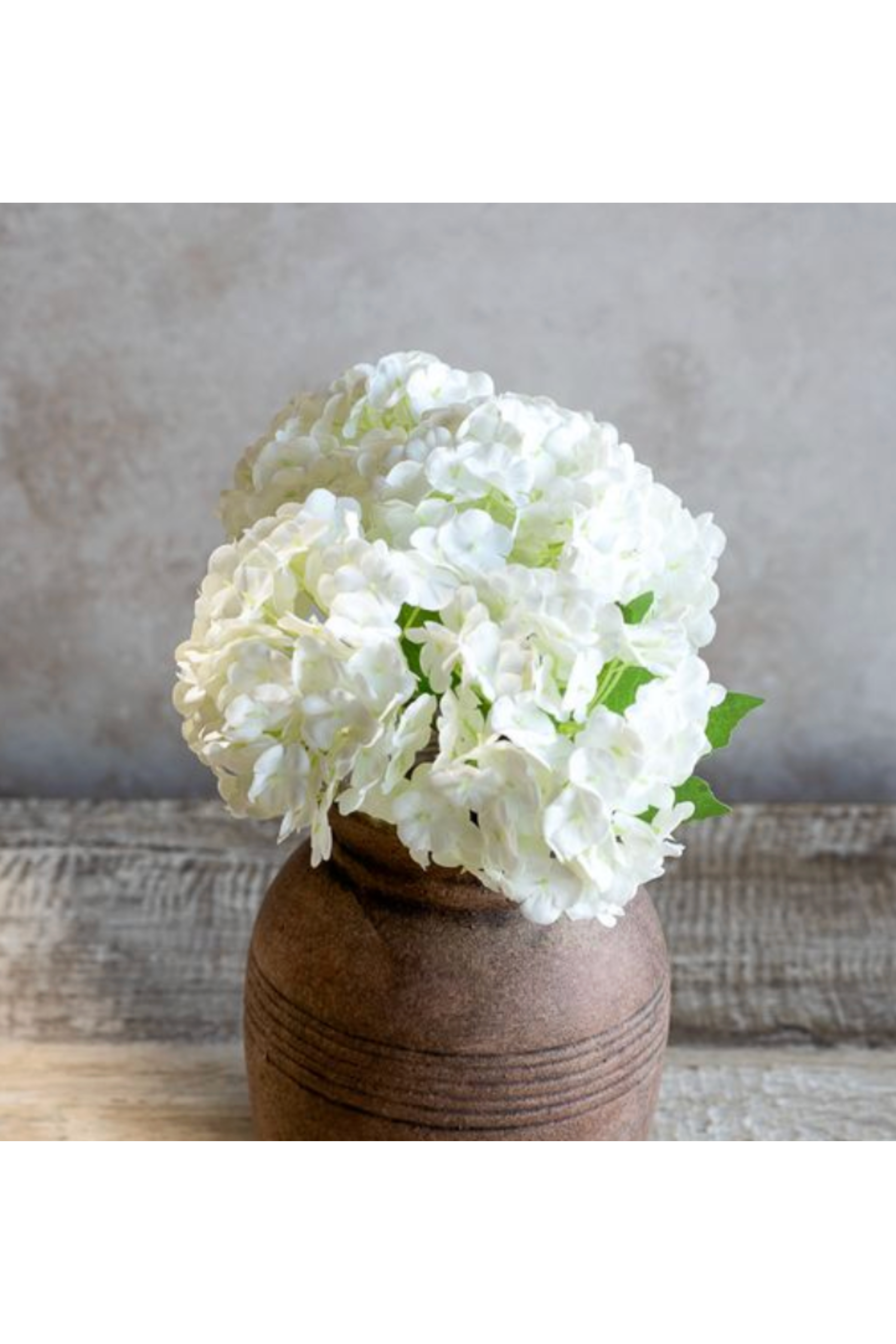 White Mini Hydrangea