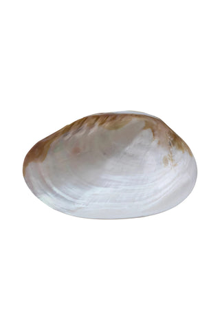 Natural Shell Footed Dish