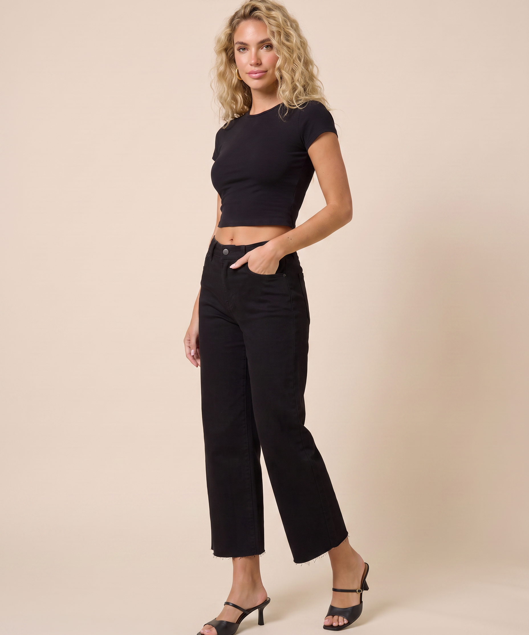 Vervet by Flying Monkey High Rise Cropped Wide Leg Jeans